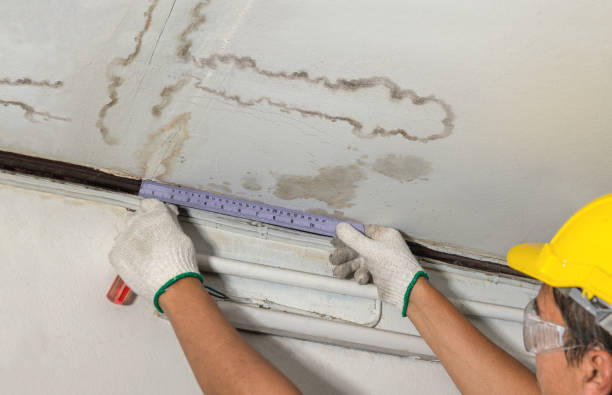 Reliable Water Damage contractor in Drybranch, WV by Water Damage Irwin